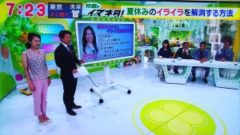 ドデスカ！